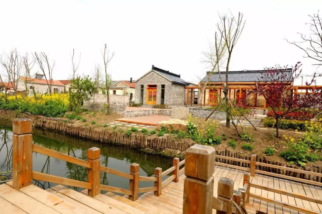 金湖这个村登上国家级媒体确定不来看看