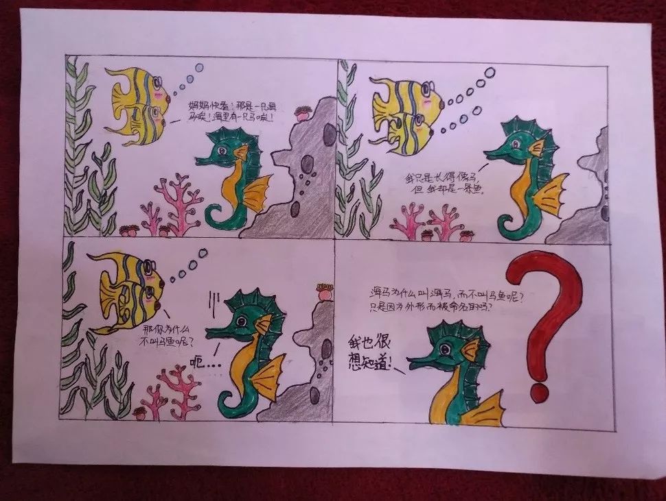 海洋四格漫画形式图片