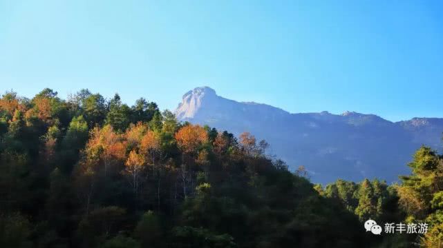 實拍韶關雲髻山的楓葉開始紅了廣佛出發3小時可達