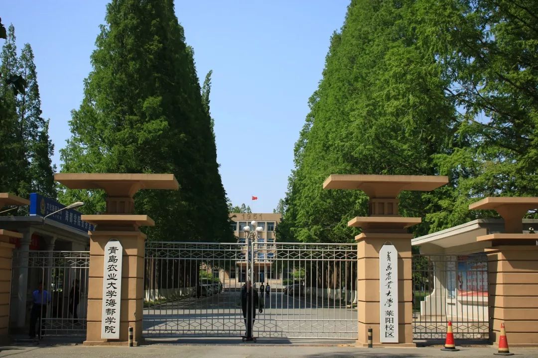 青岛农业大学海都学院同学们,这是我柔情的一面,我希望能给你更多的