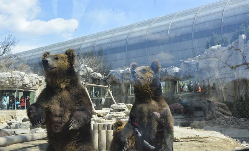 熊山:北京动物园熊山位于动物园东北角,原址为稻田,1952年动工兴建熊