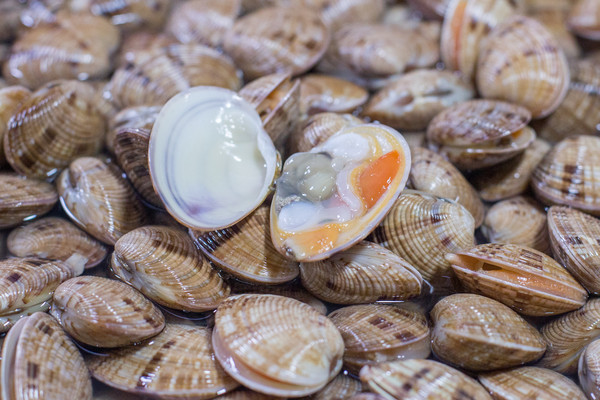 这里的种类多到让人目不暇接,皮皮虾,面包蟹,海胆,海白螺,生蚝等不计