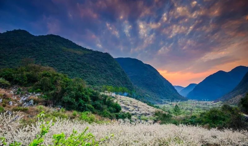 阳山杨梅镇旅游图片