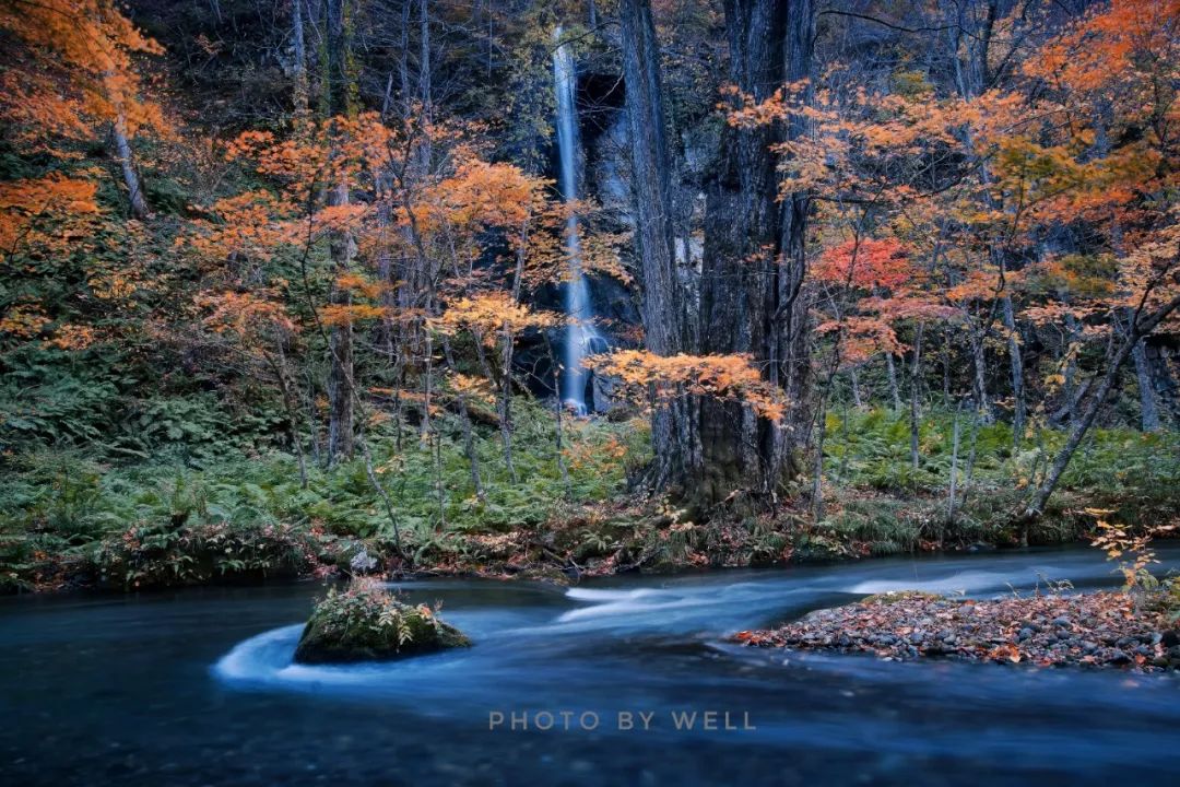 光影流连 | 最美赏枫地——日本青森奥入濑溪流