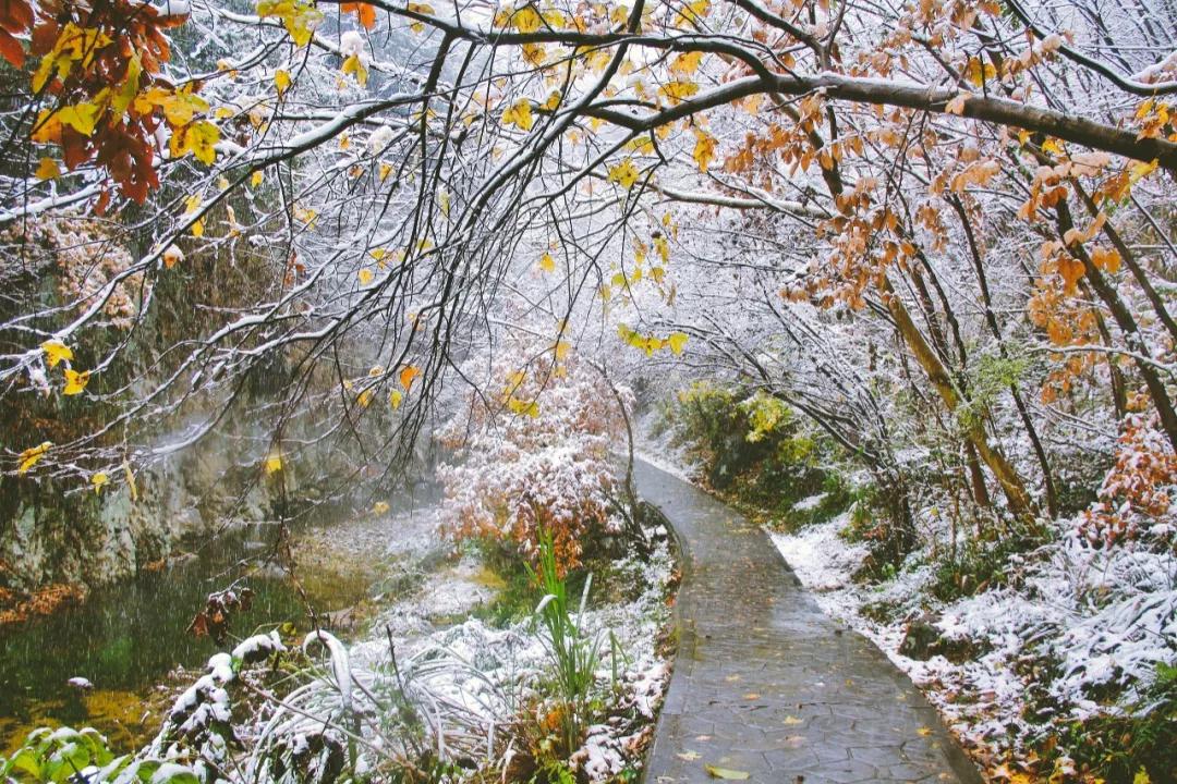 2019年西九华山入冬第一场雪如约而至开启看雪模式吧