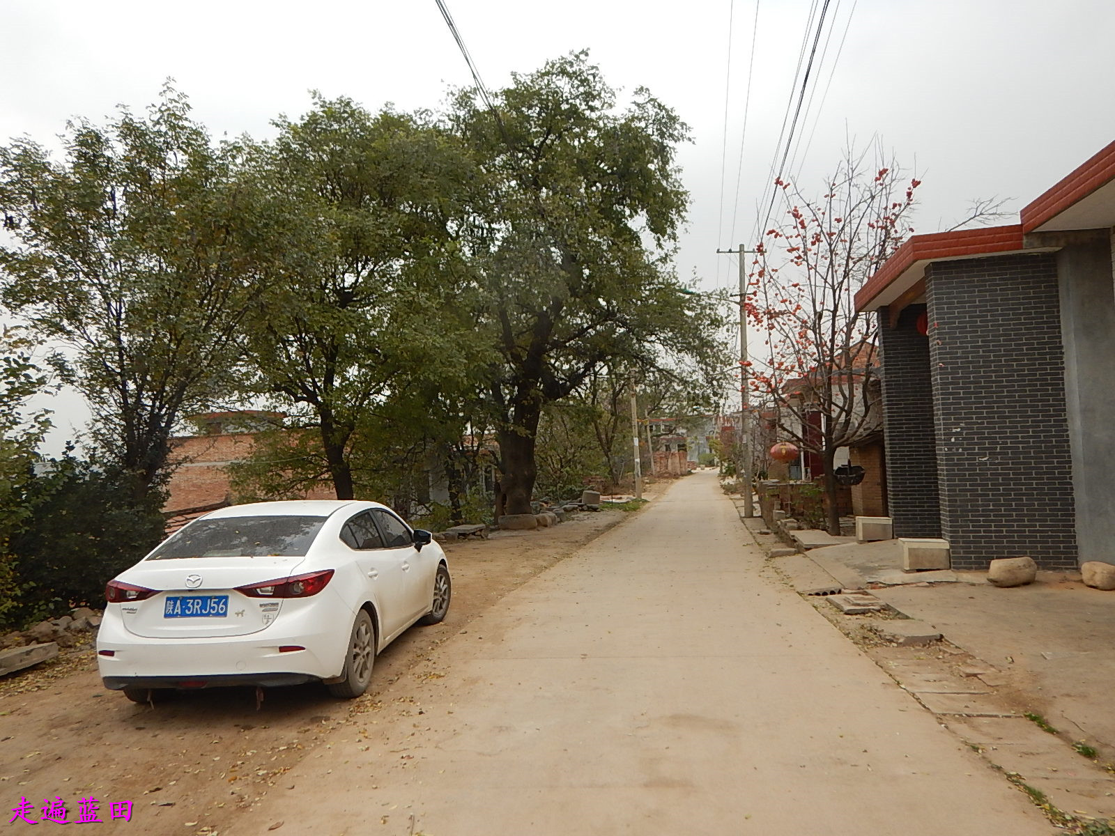 走遍蓝田2019焦岱镇候家扁村穿越旅行3