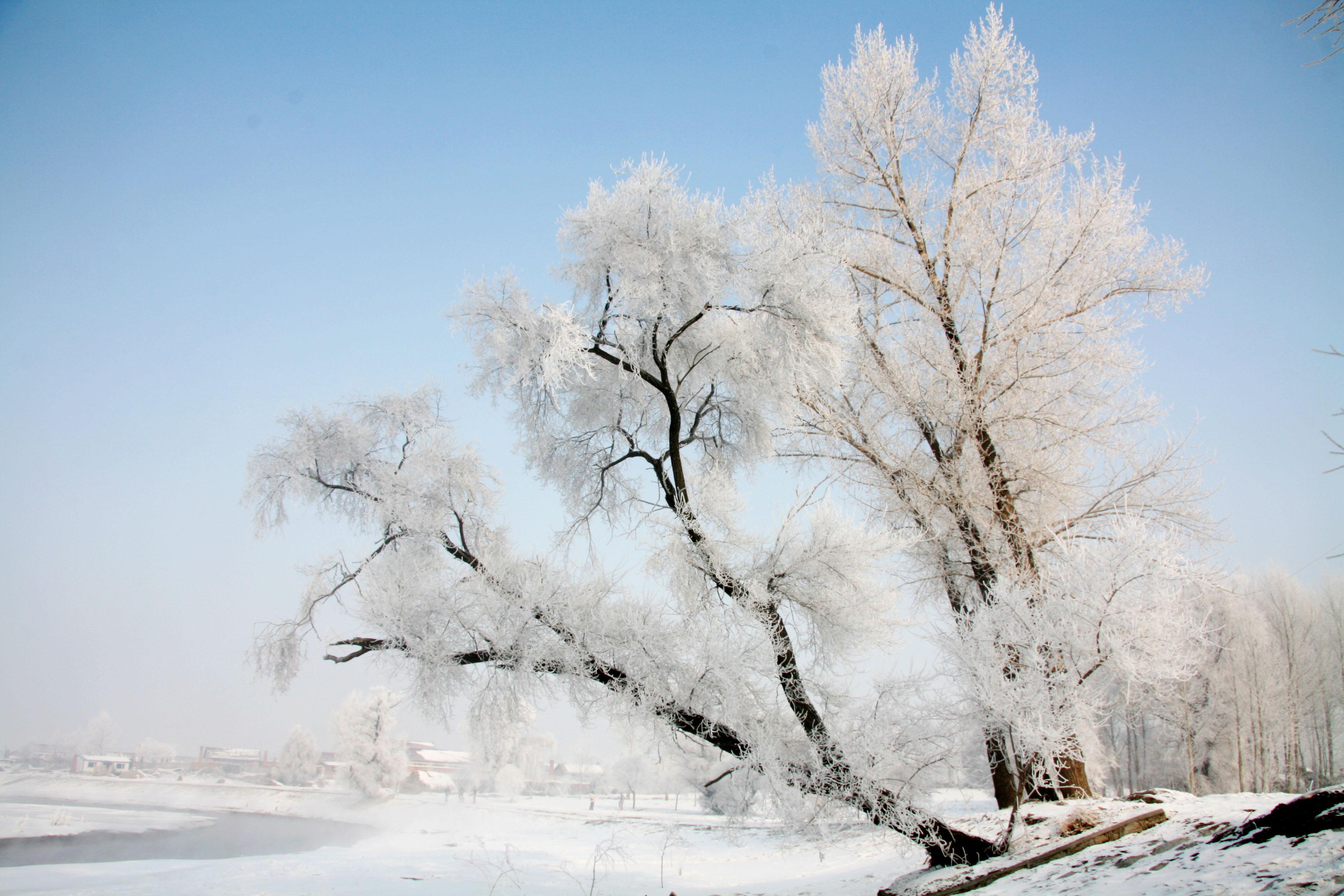 11月尾,冬意渐浓,下雪还能这么玩?民众纷纷开启冰雪大作战