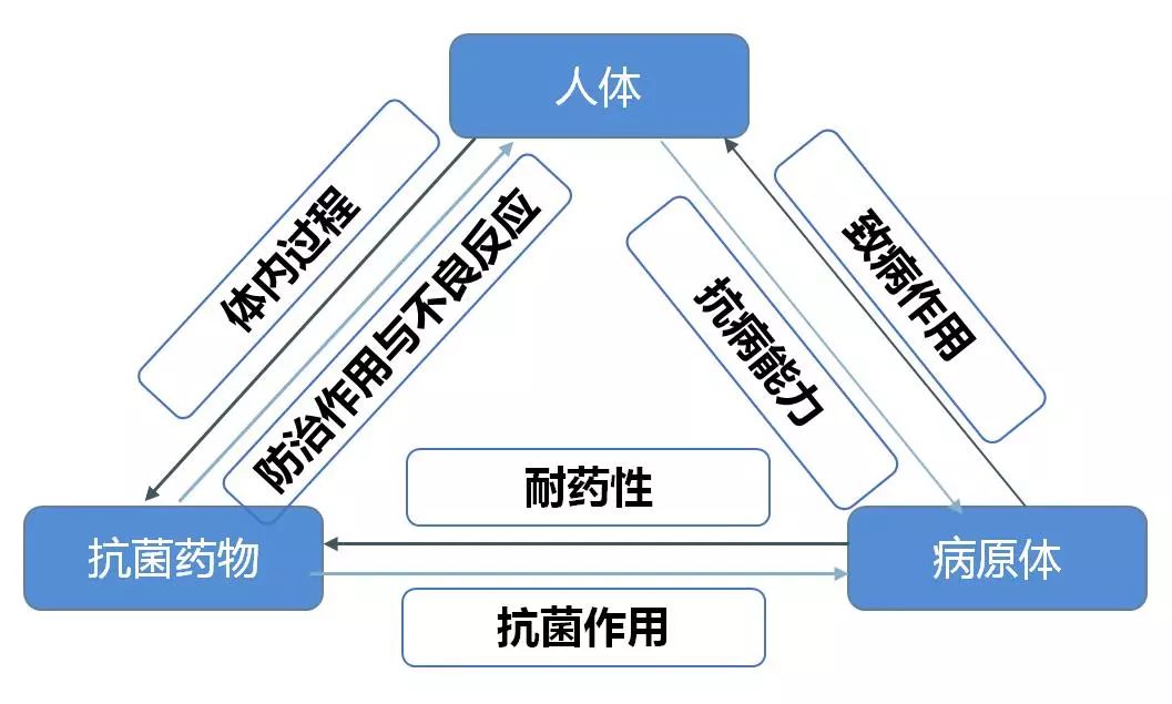 抗菌药物与其他药物不同之处在于其作用靶点不是人体器官,而是致病菌