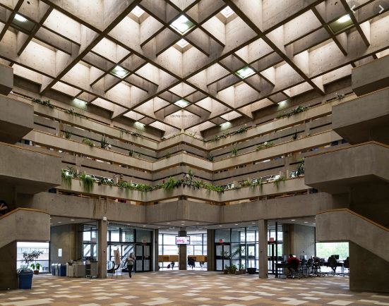 约克大学的scott图书馆内.昨天晚上(11月24日)5pm的事情发生在突发!