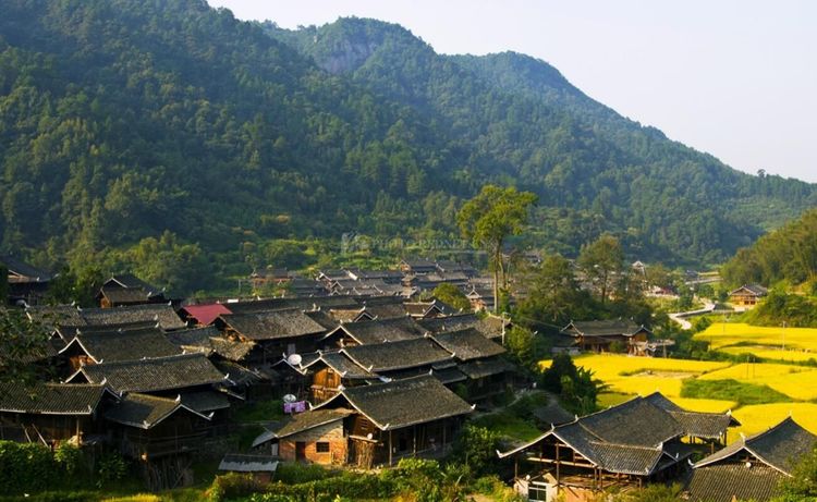 湖南有一个神秘的村庄一百多名村民说自己记得前世的故事