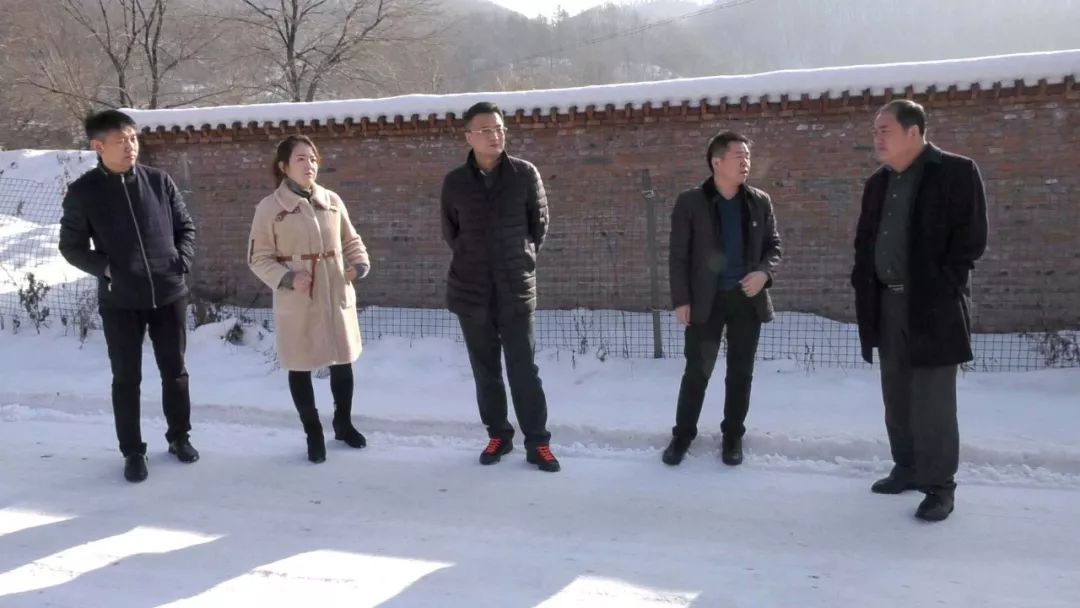 区委书记于大军实地督导违建别墅清查整治情况