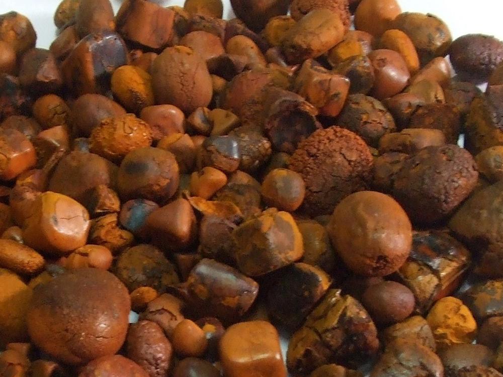 牛黄在民间又叫西黄,犀黄,牛宝,丑宝等,是牛胆囊,胆管或肝管中的结石