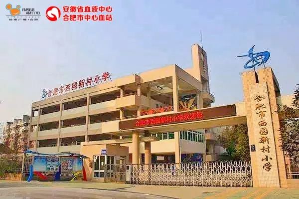 西园新村小学图片