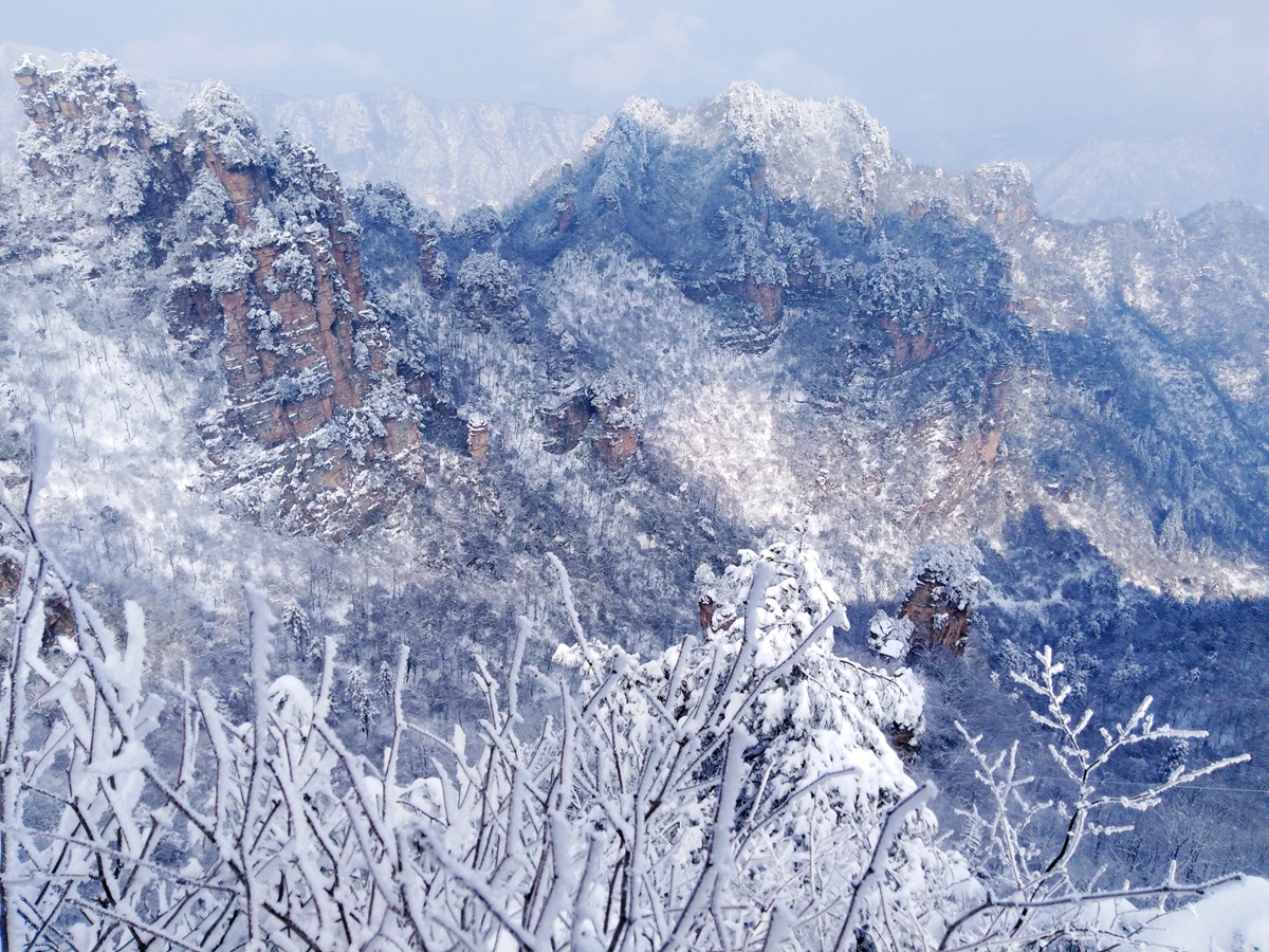 张家界天子山今冬首雪有点小雾凇冰挂却妖娆