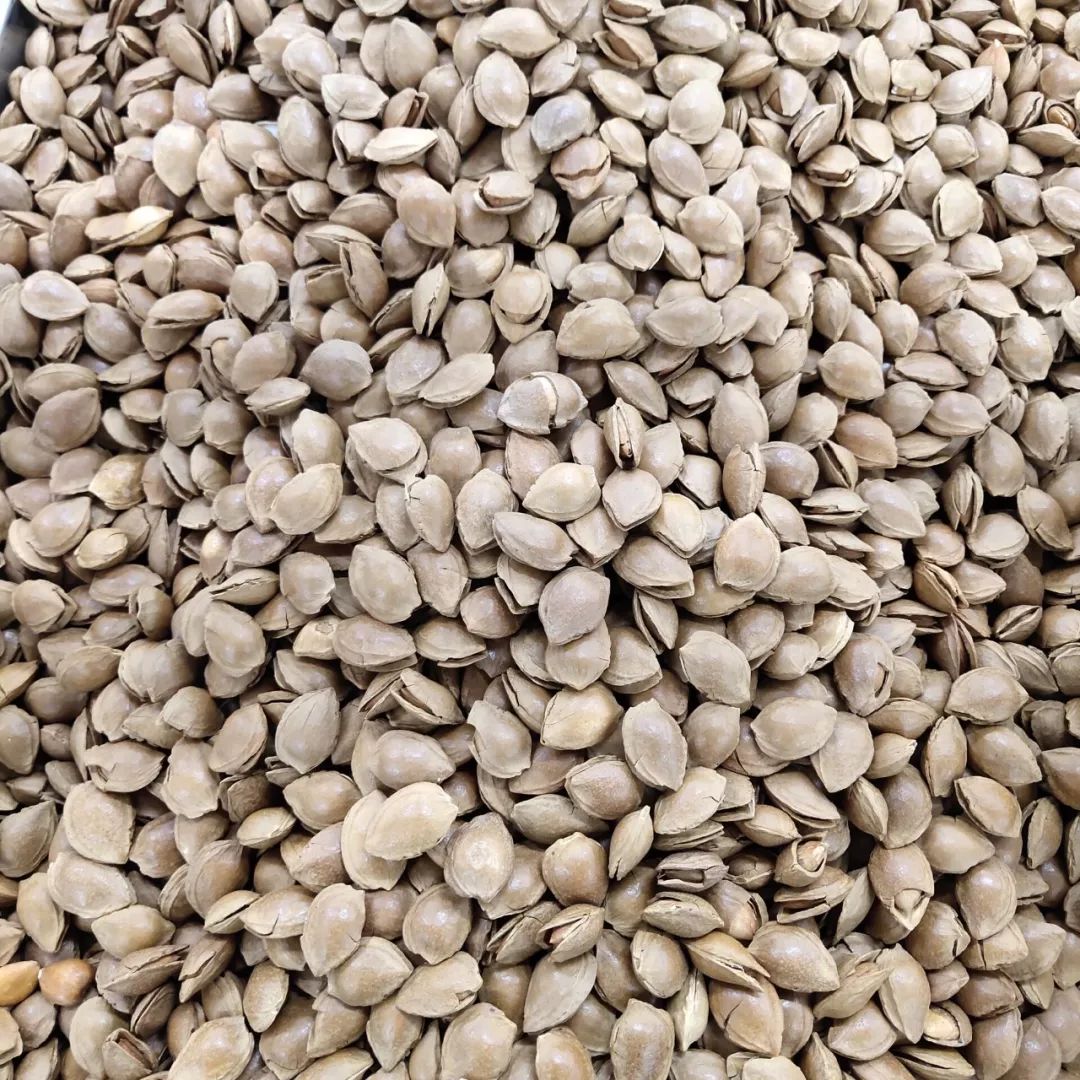 冬月吃干果天渐寒身要暖