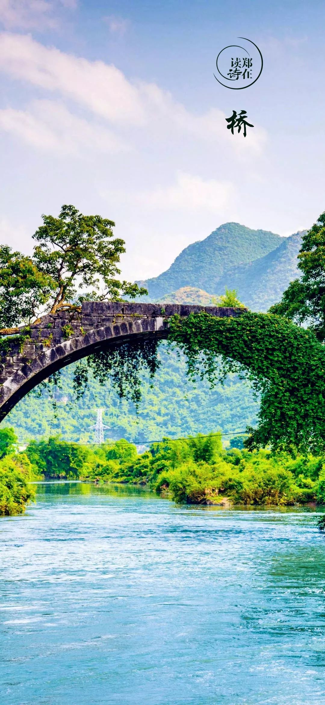 桥作者:艾青| 诗人郑在读诗:王静| 语言培训教师72 诗感初读这首诗