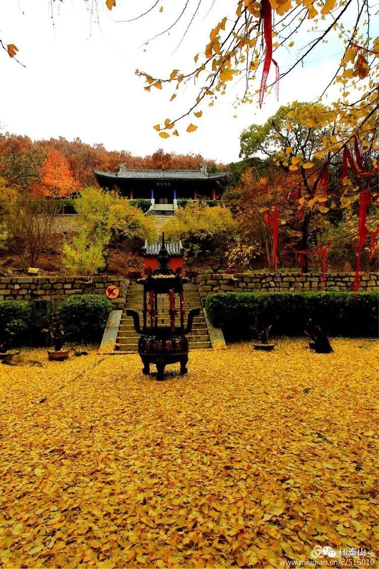 回忆玉泉寺之秋