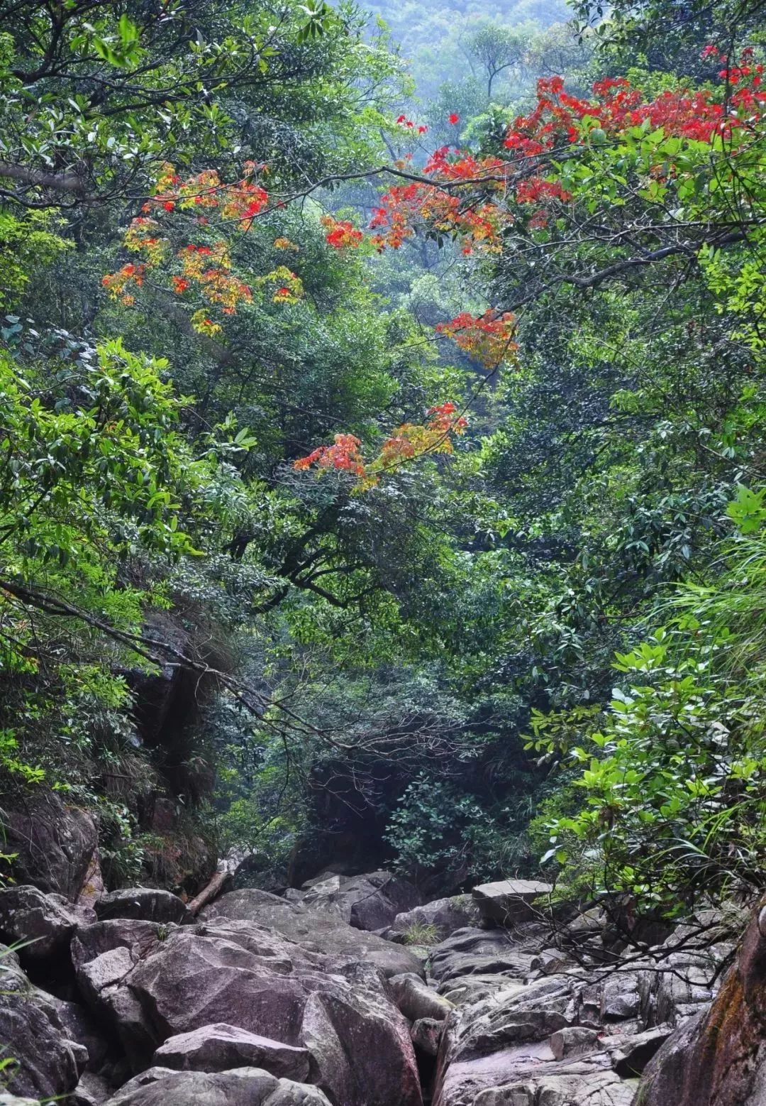 江華有座黃龍山養在深閨待人識