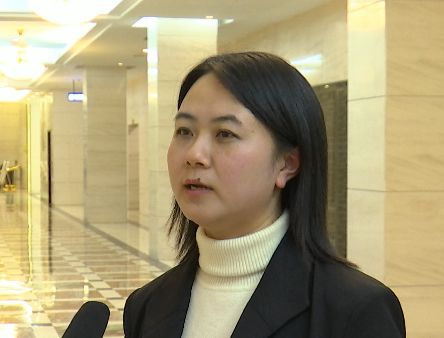 马春艳市招商服务中心党组成员,工会主任我们目前正在推进鼎龙控股