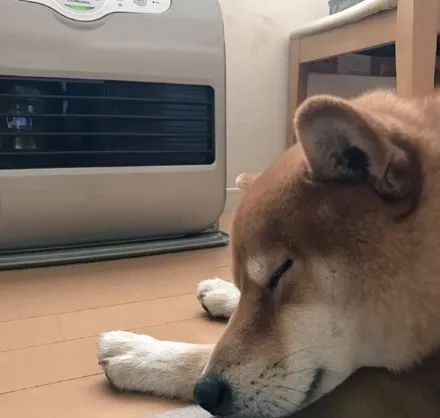 吹暖气而已,能不能注意你的形象?