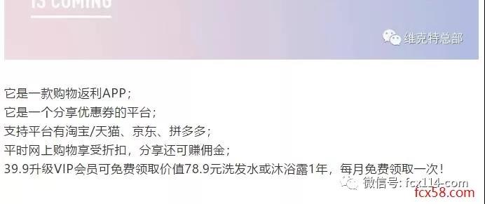 维客特传销