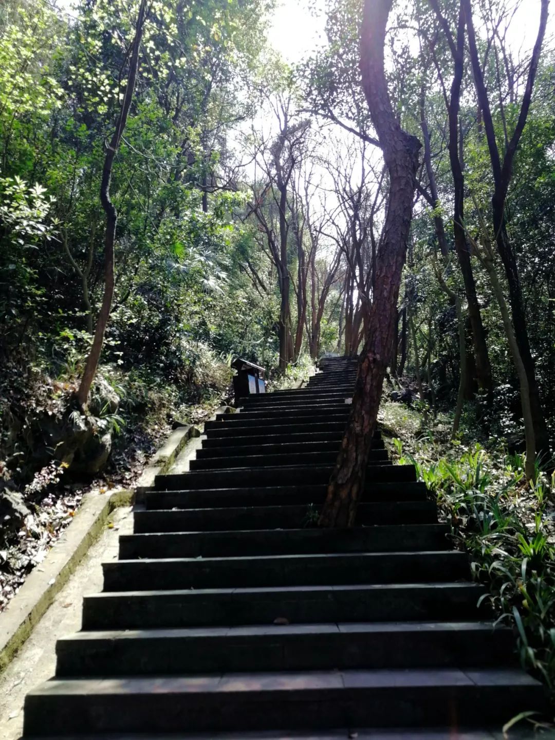 南溫泉怎能不泡溫泉呢你可以前往南泉公園溫泉會所感受泉鄉的安靜與平