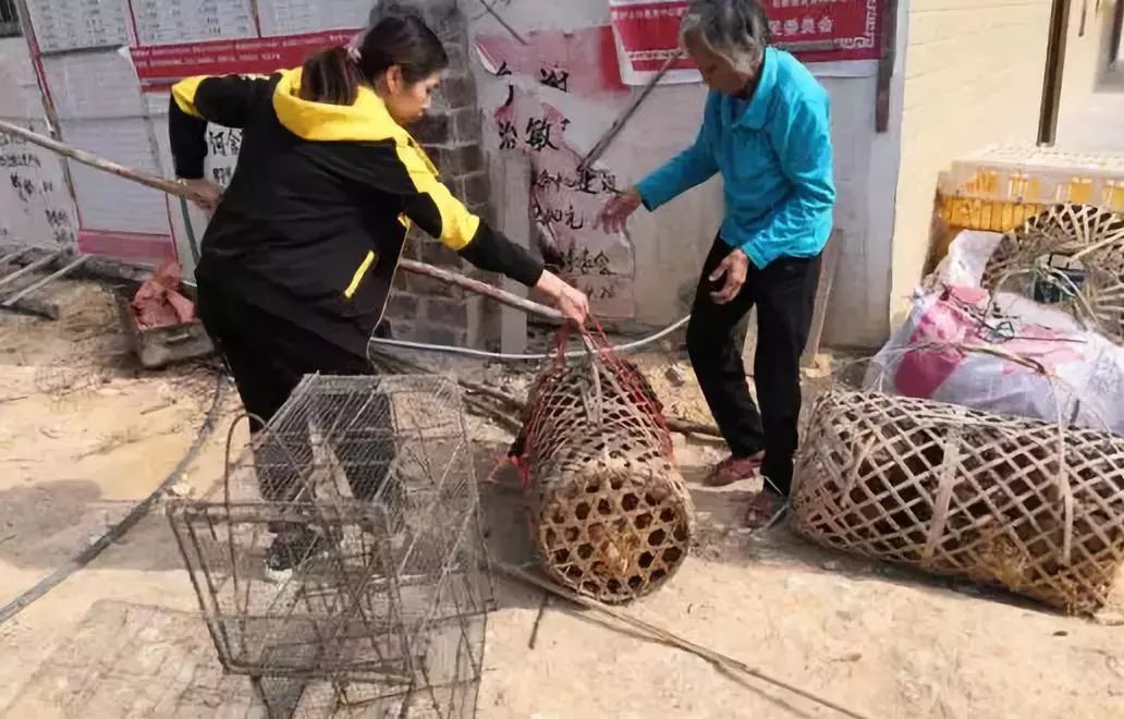 容县杨村镇平贯村公共服务中心前,一片热闹的场景
