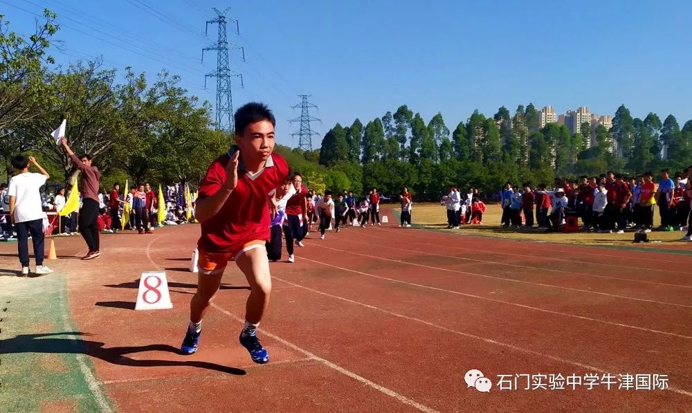 石门实验中学篮球队图片