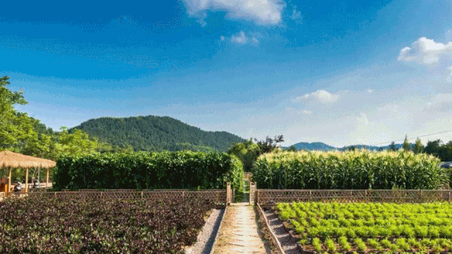 建业·十里湖山