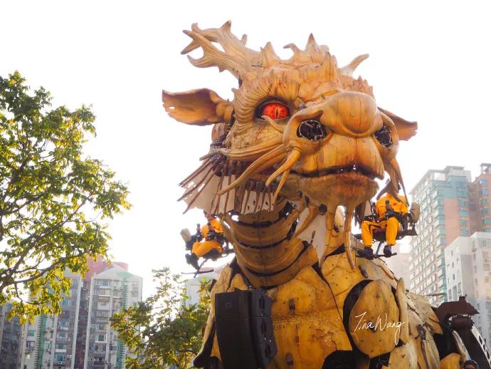 这龙不是真的?也太炫酷了吧!
