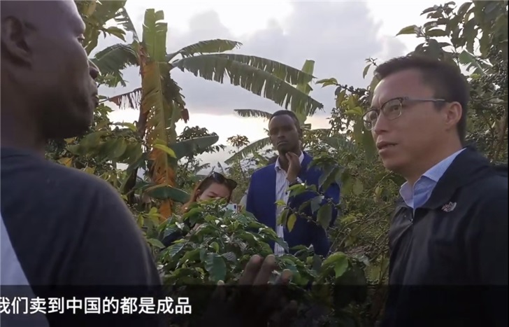 蚂蚁金服董事长井贤栋卢旺达逛咖啡园:这咖啡豆和大豆一样嘛