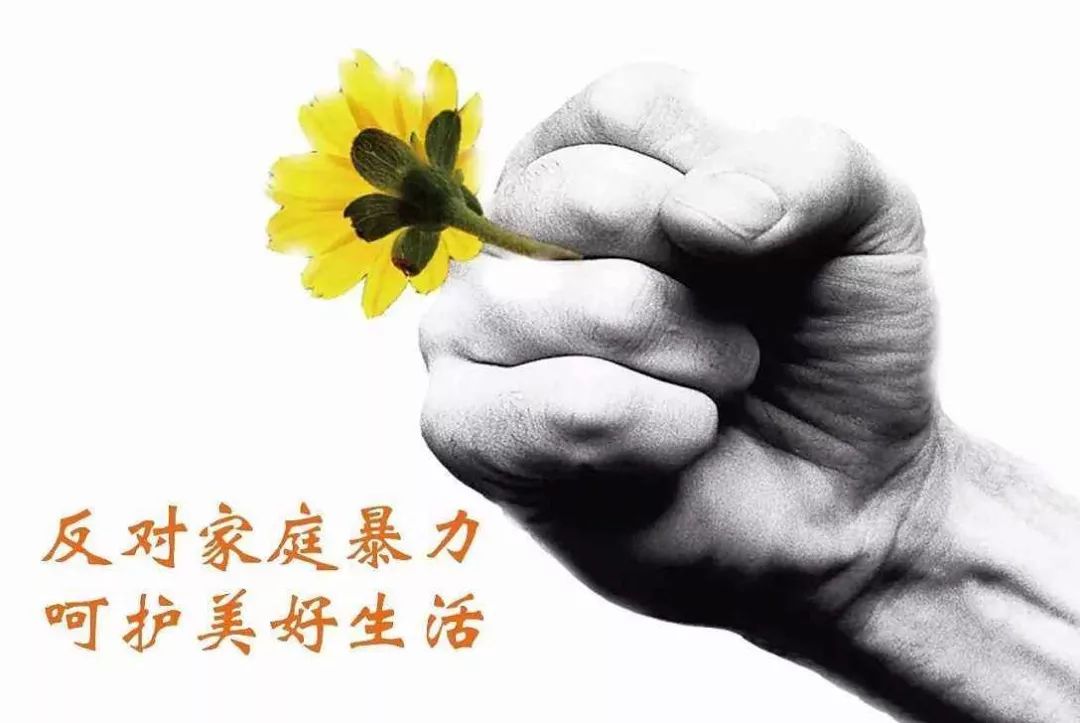 美妆博主遭前男友多次家暴 | 拒绝家庭暴力!建设美好幸福的生活