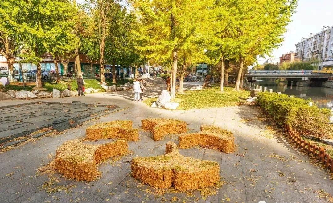 惊呆落叶竟然这样美