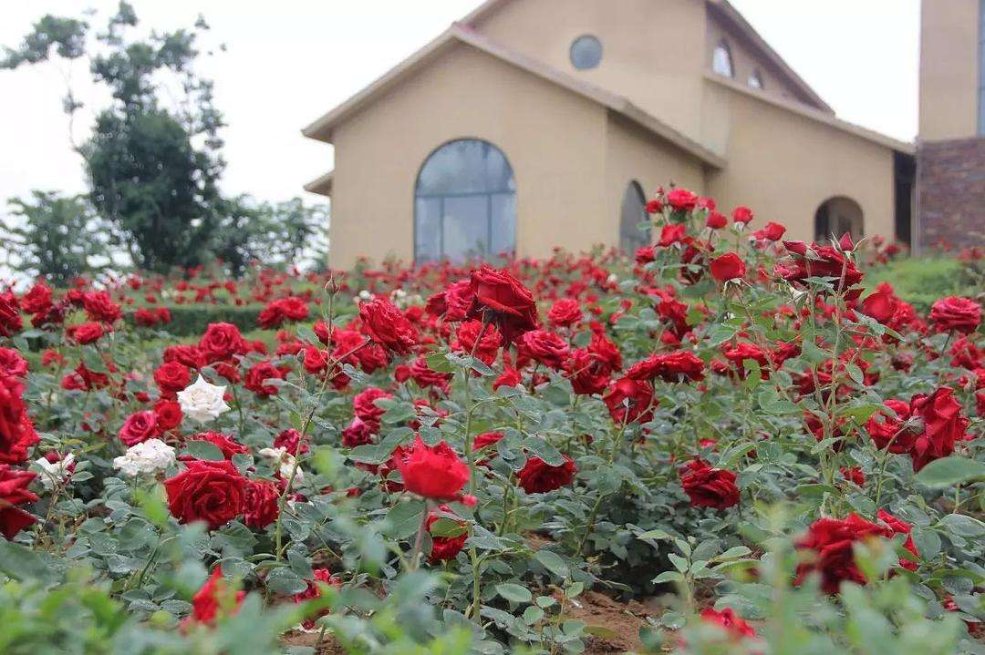 昌建可润农庄是以"美丽乡村计划"为背景的"新田园主义"—构建田园生产