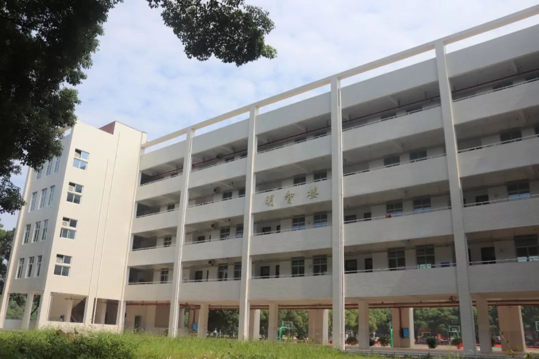 喜讯连续四年获评先进云溪这所学校厉害了