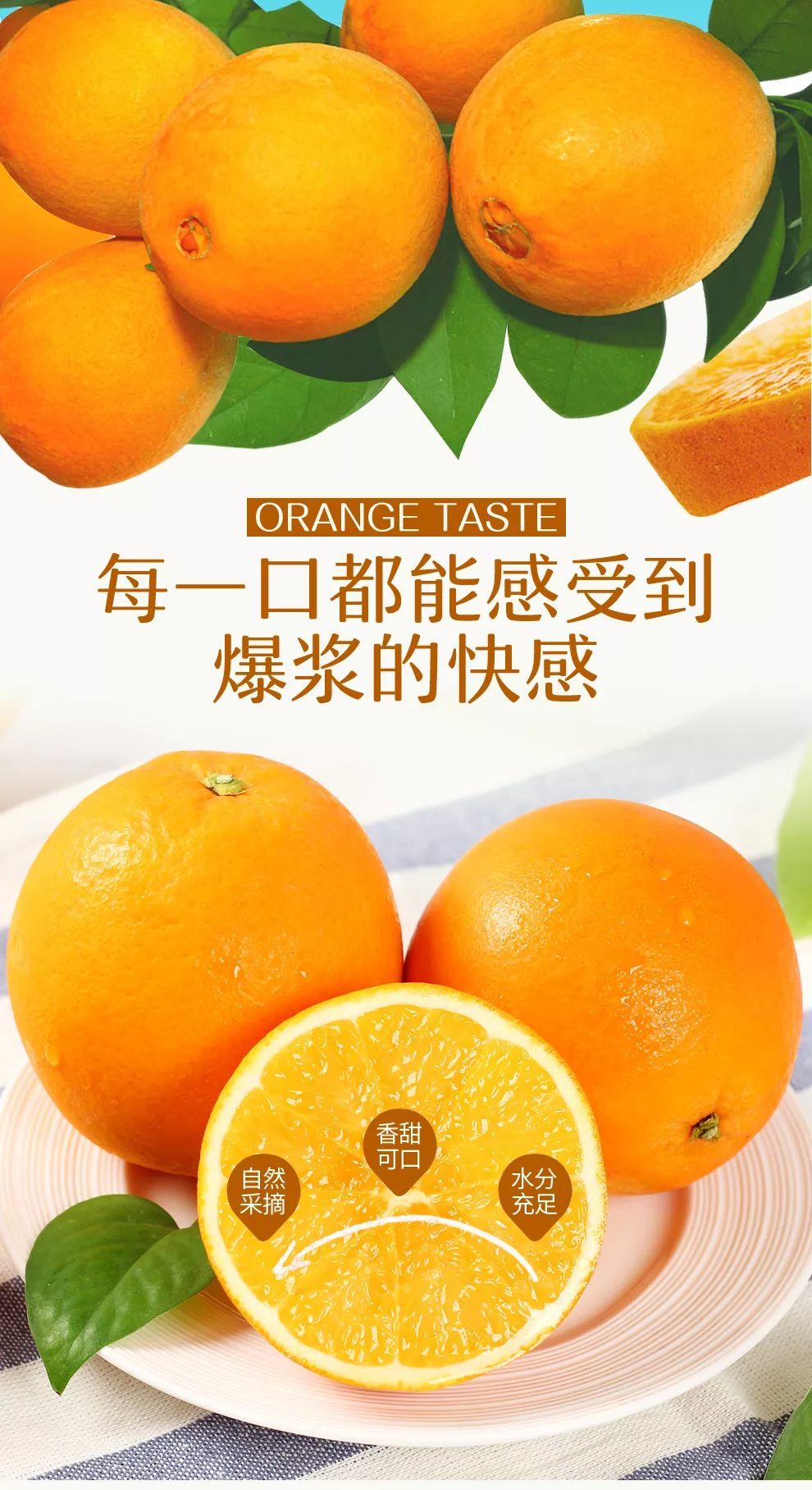 湖南永兴冰糖橙广告图片
