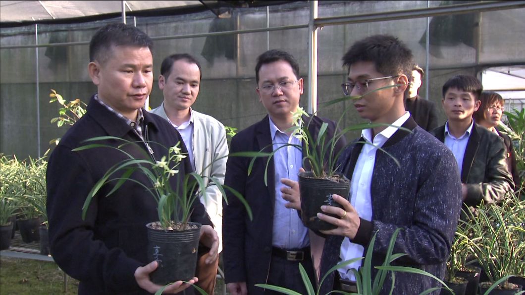 东兰:县委书记率队到柳州考察兰花种植项目_黄贤昌
