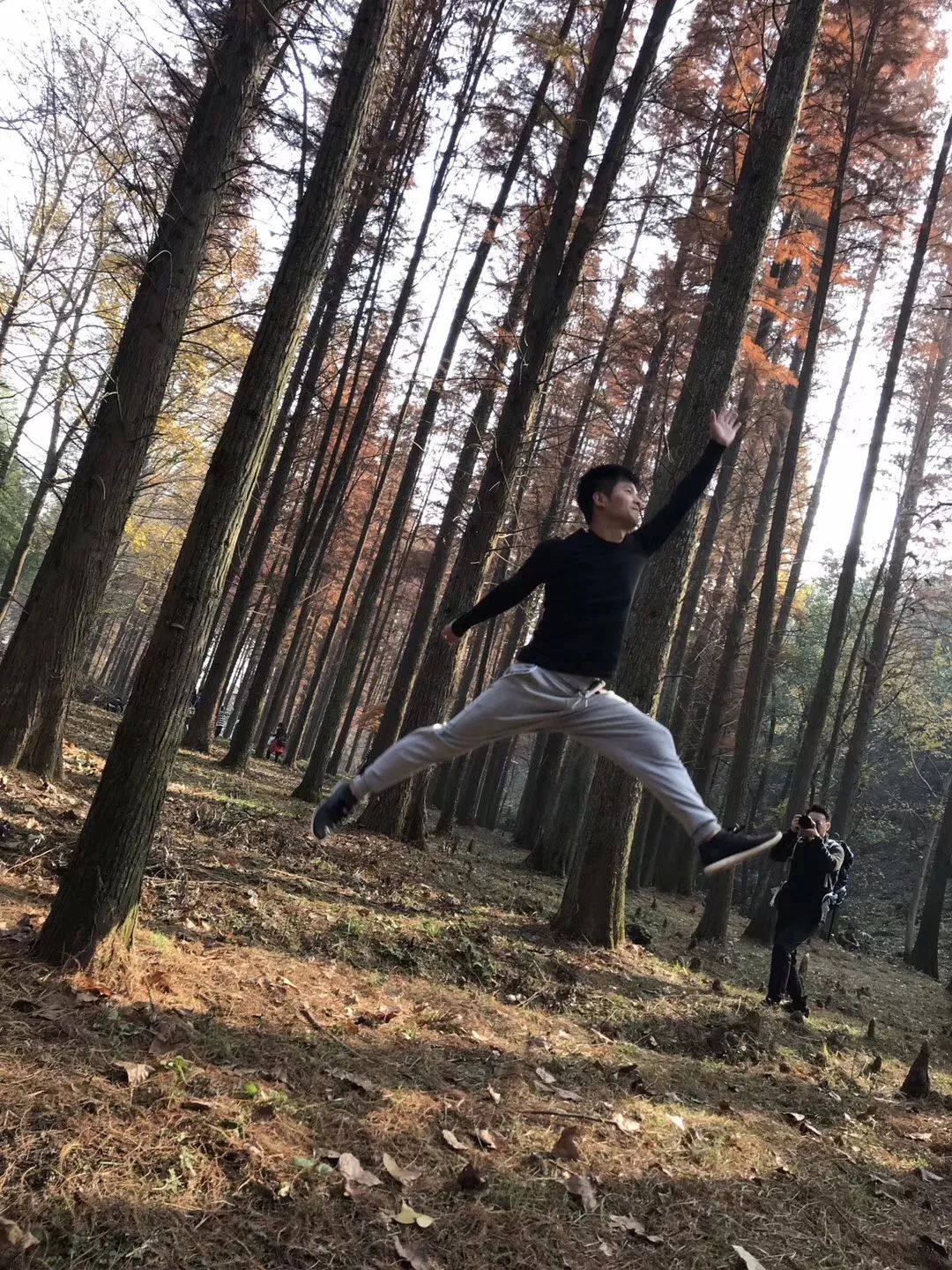 发现醉美红杉林 徒步长乐林场 一路秋摄无边