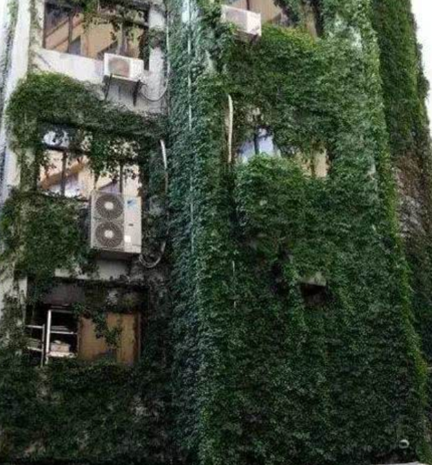 图片[20] - 【xizi·20191207】无休止的劳碌，会让灵魂一贫如洗。 - xizi