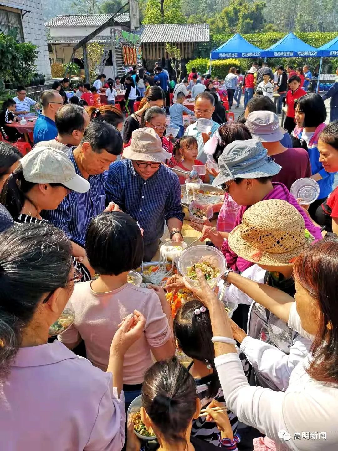 田头挖粉葛其乐无穷