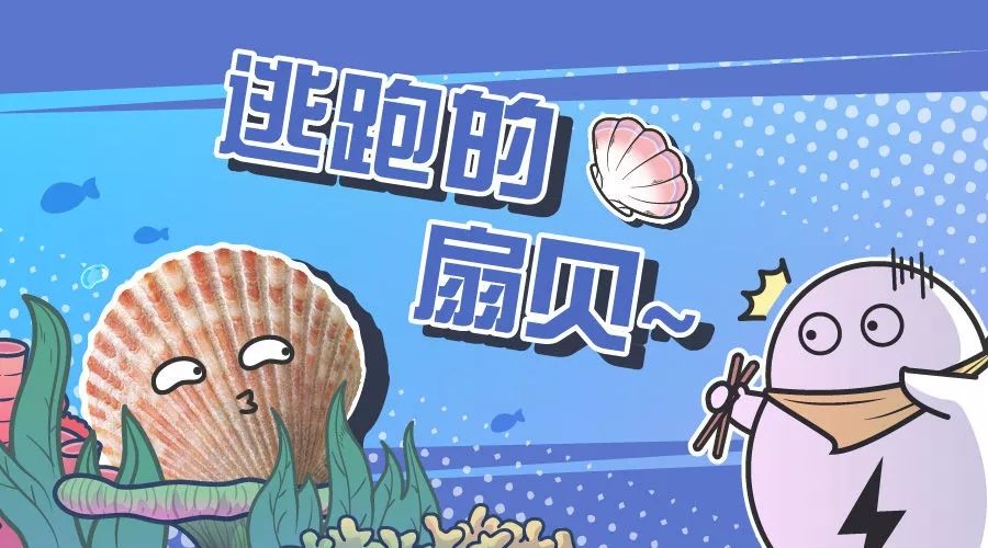 研外之音獐子岛的扇贝