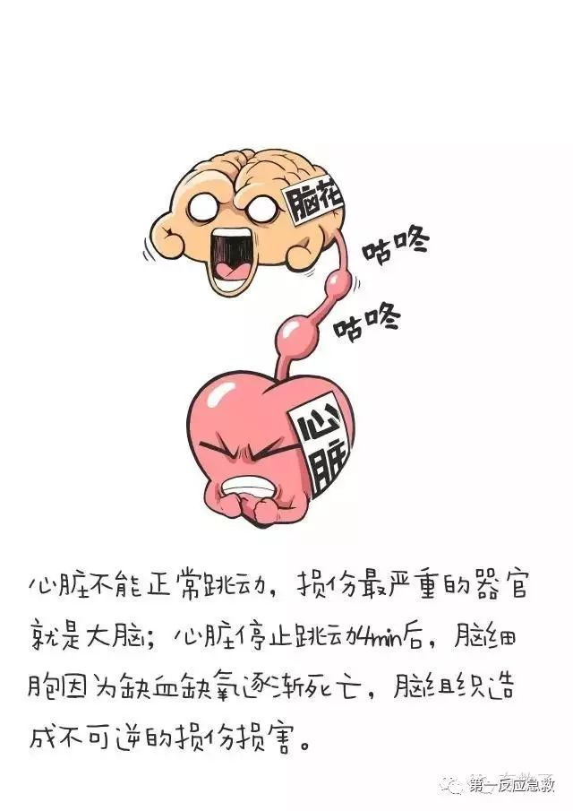100次~120次/min按压深度:至少5厘米心肺复苏术(cpr)包括了两个部分