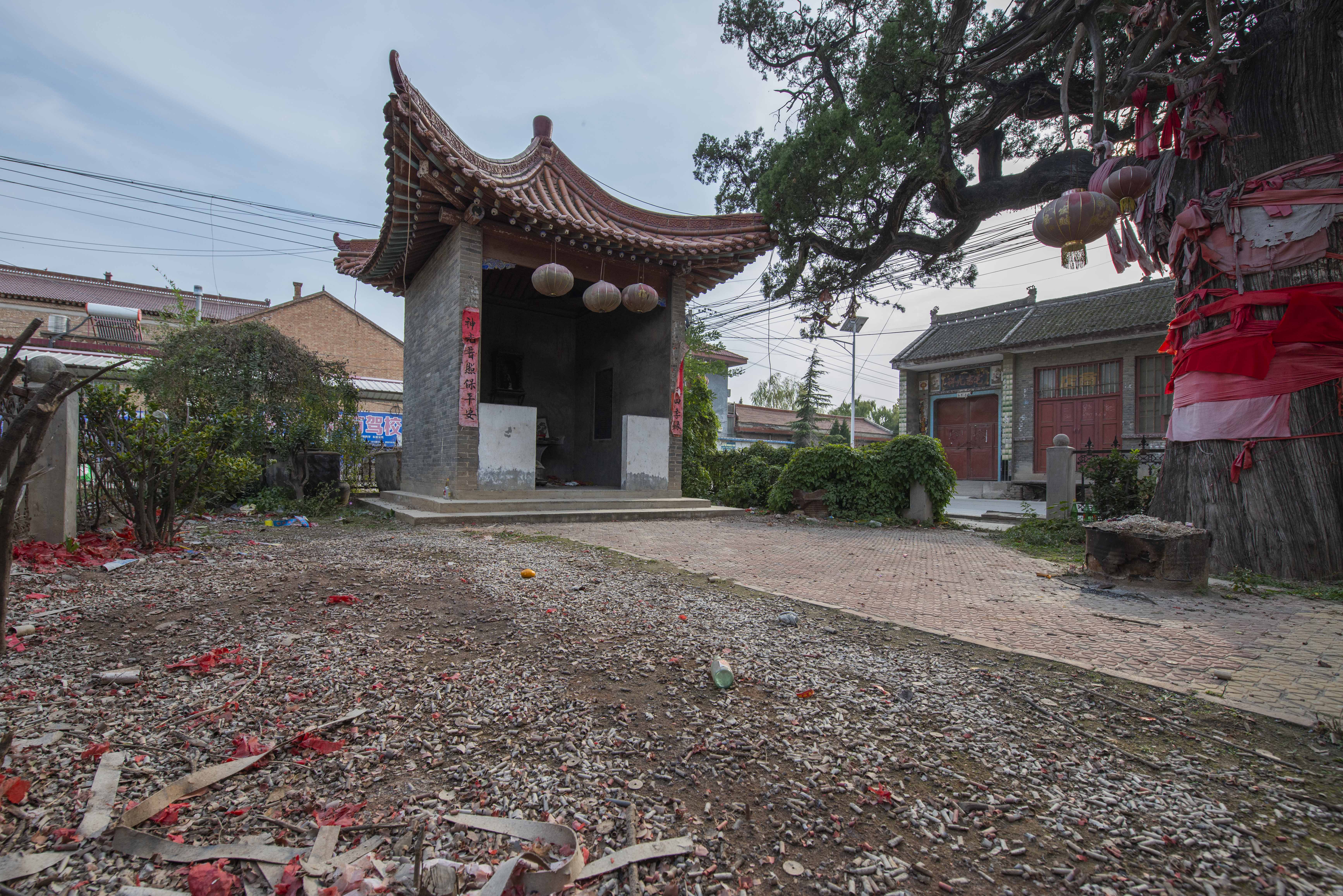 山西絳縣農村1600年的千年古柏當年曾嚇倒日本兵