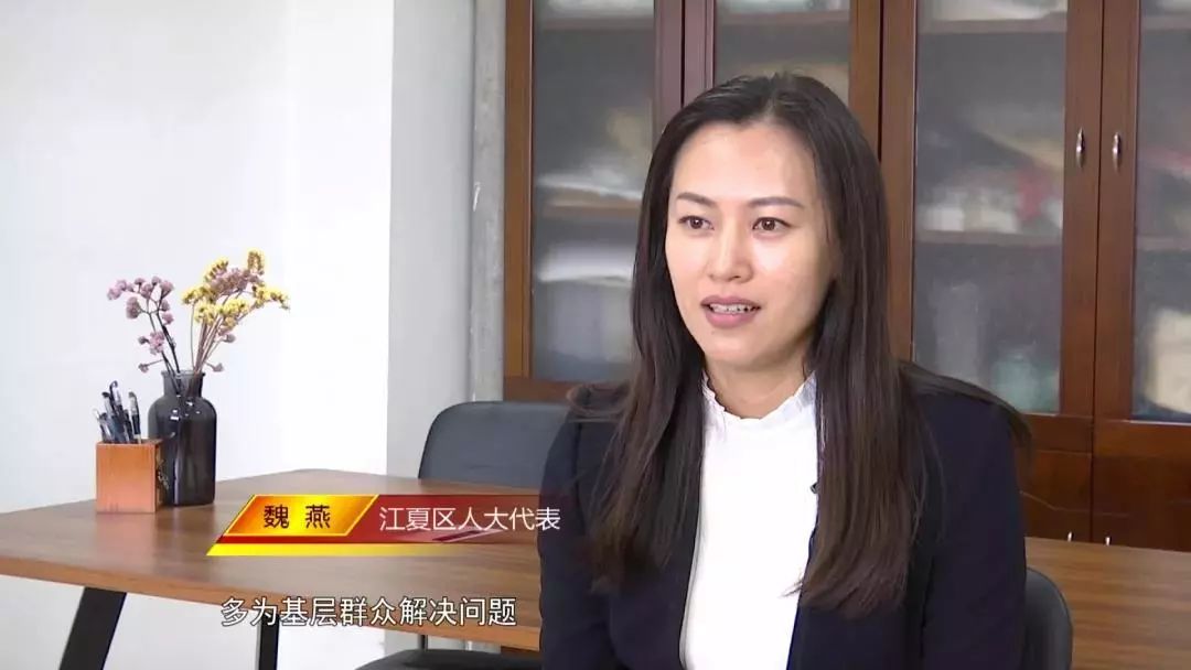 《人大视窗》| 江夏区人大代表的为民情怀_魏燕