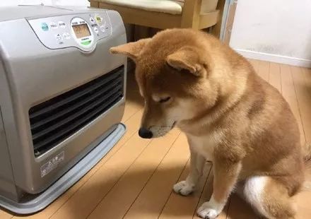 吹暖气而已,能不能注意你的形象?