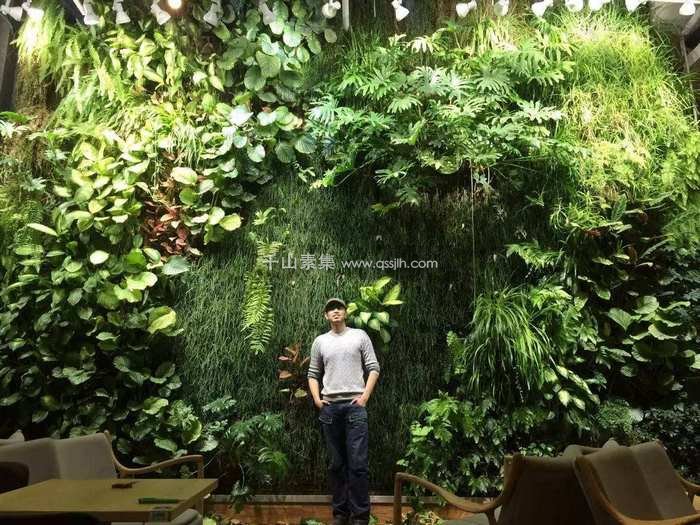 王昱珩的植物墙你也可以拥有