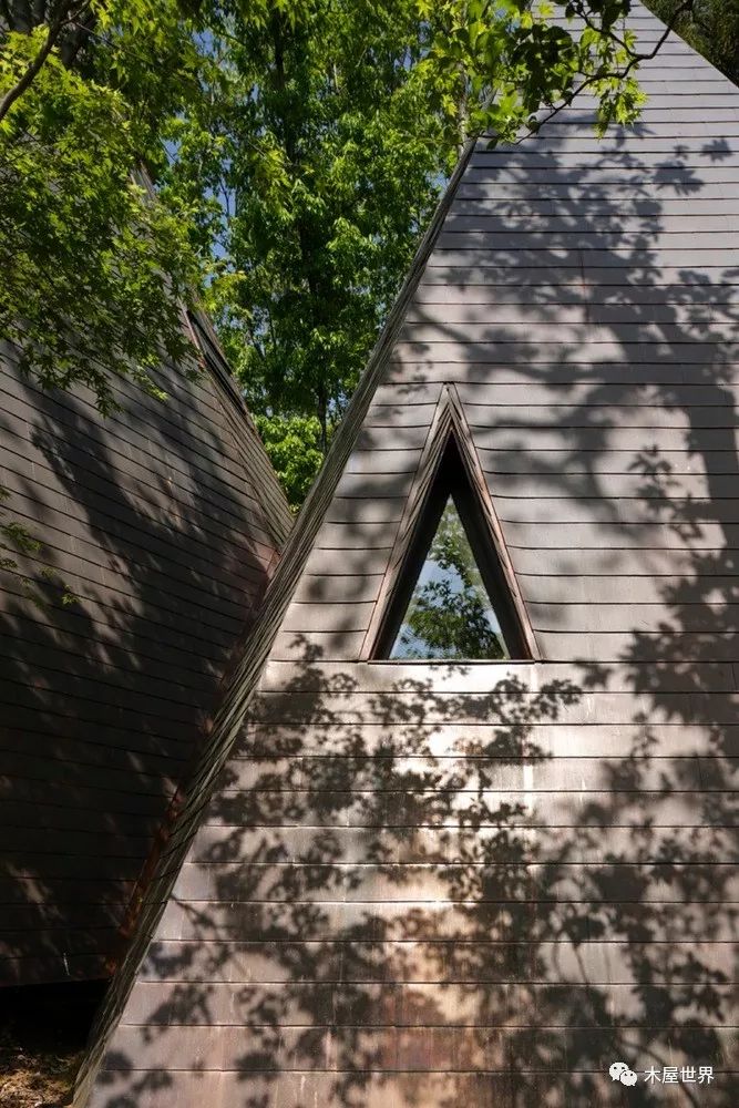 简约,却又有神秘感;森林里的锥形小屋_建筑