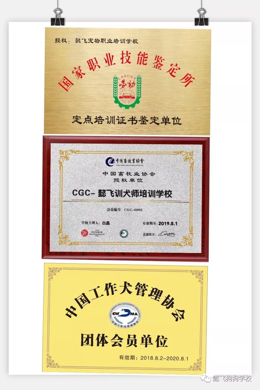 懿飞人才培训2019训犬师培训班