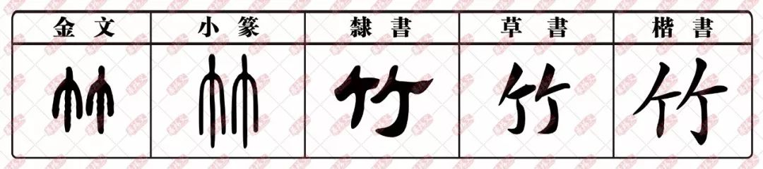 趣味学丨有故事的汉字【竹】_zh