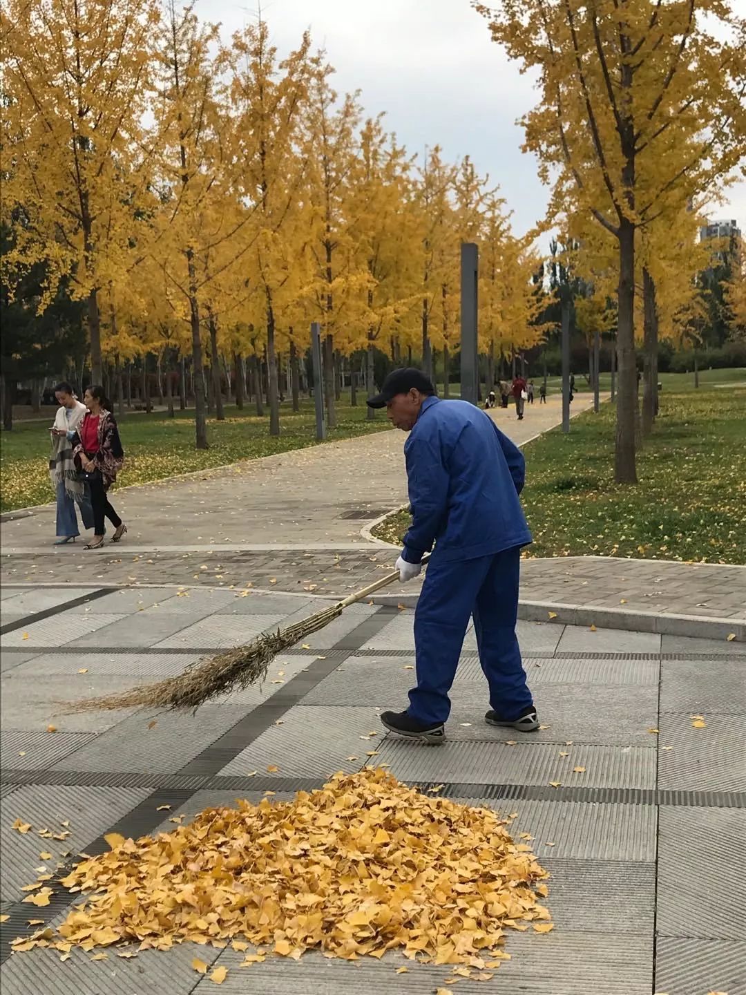央美印象一抹秋色遇见最美瞬间微信摄影展投票活动开始啦